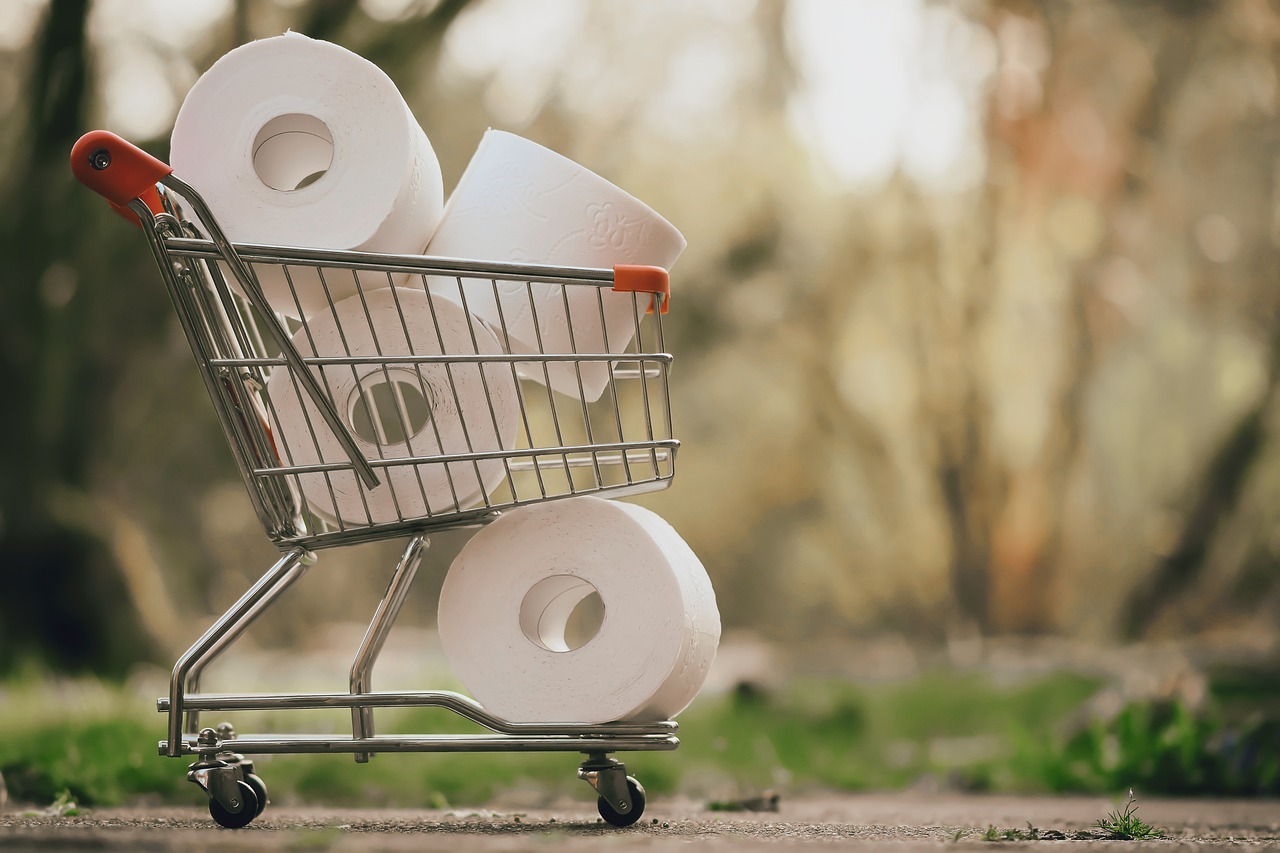 La vida secreta de los rollos de papel higiénico Por qué importa el tamaño